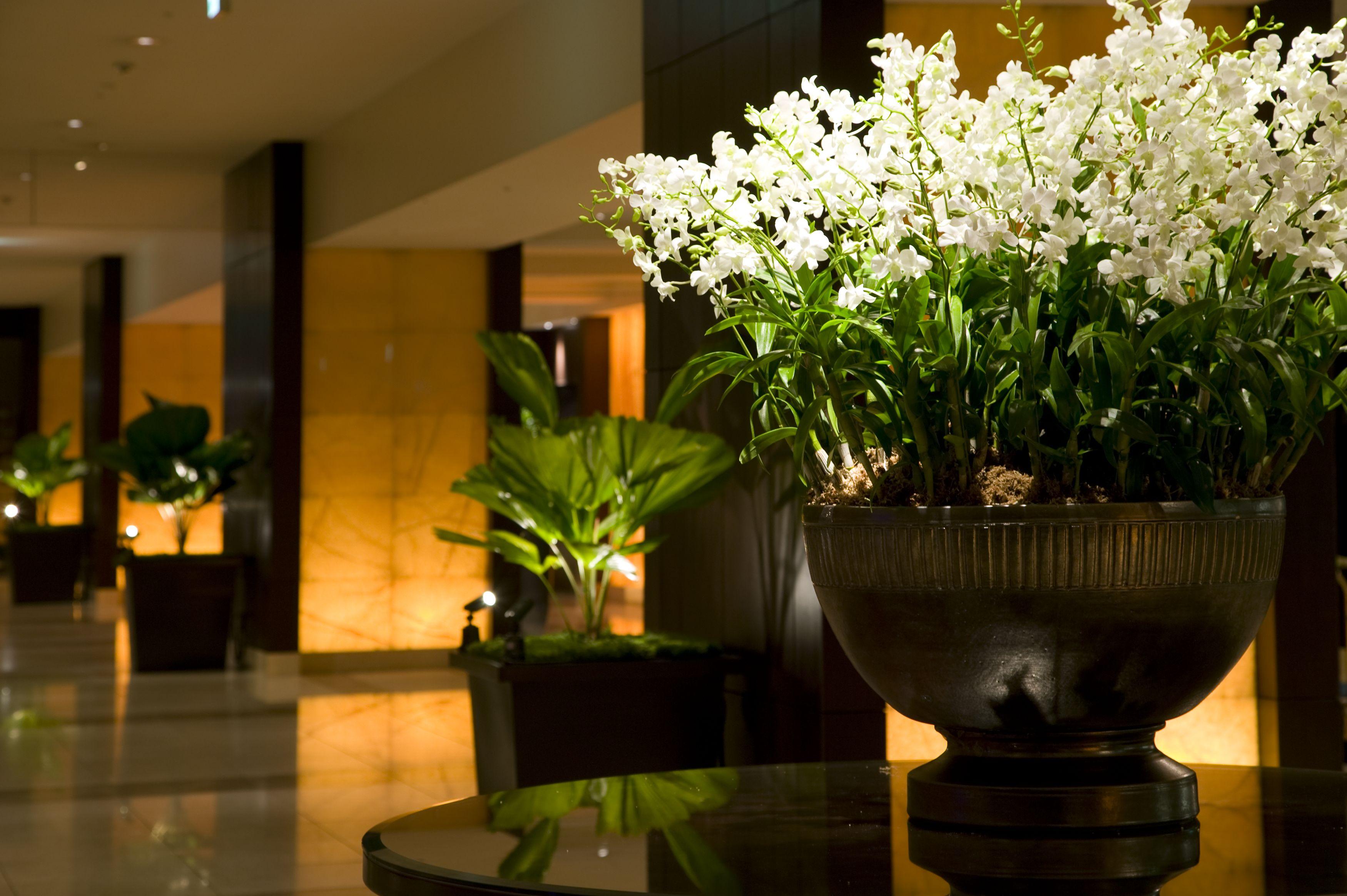 Sheraton Miyako Hotel Ōsaka Extérieur photo